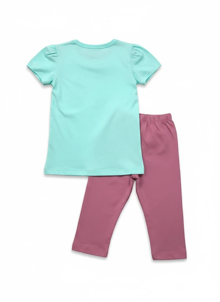 The Nile Luxuries toddler girl two-piece outfit with a mint green short-sleeve t-shirt and mauve stretchy leggings.